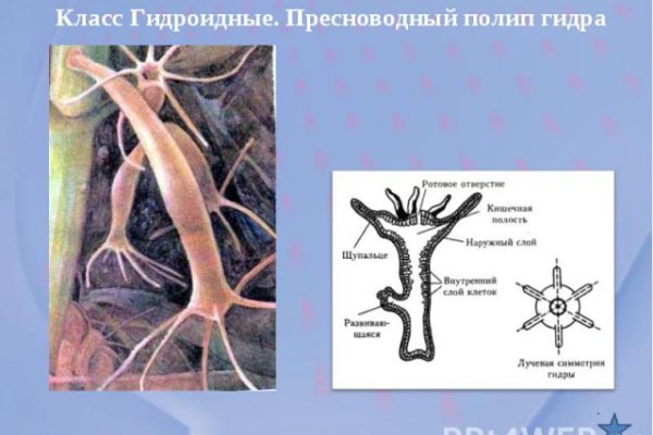 Что такое кракен сайт в россии