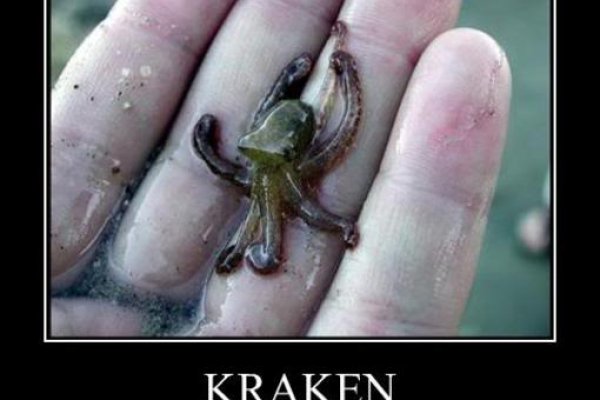 Kraken 26 at